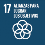 Imagen12